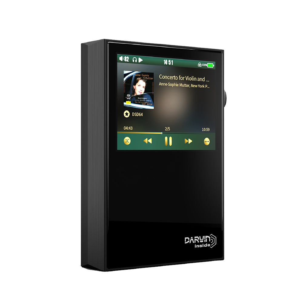 HiBy RS2 - Hifi Audio Player Medium-end DAP 3