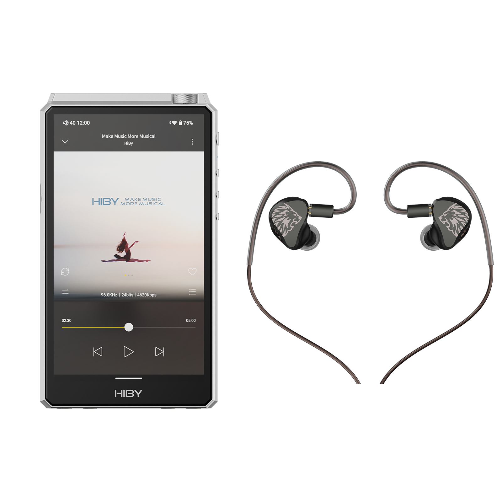 Ultimate HiFi DAP HiBy R6 III and IEM Earphones 7