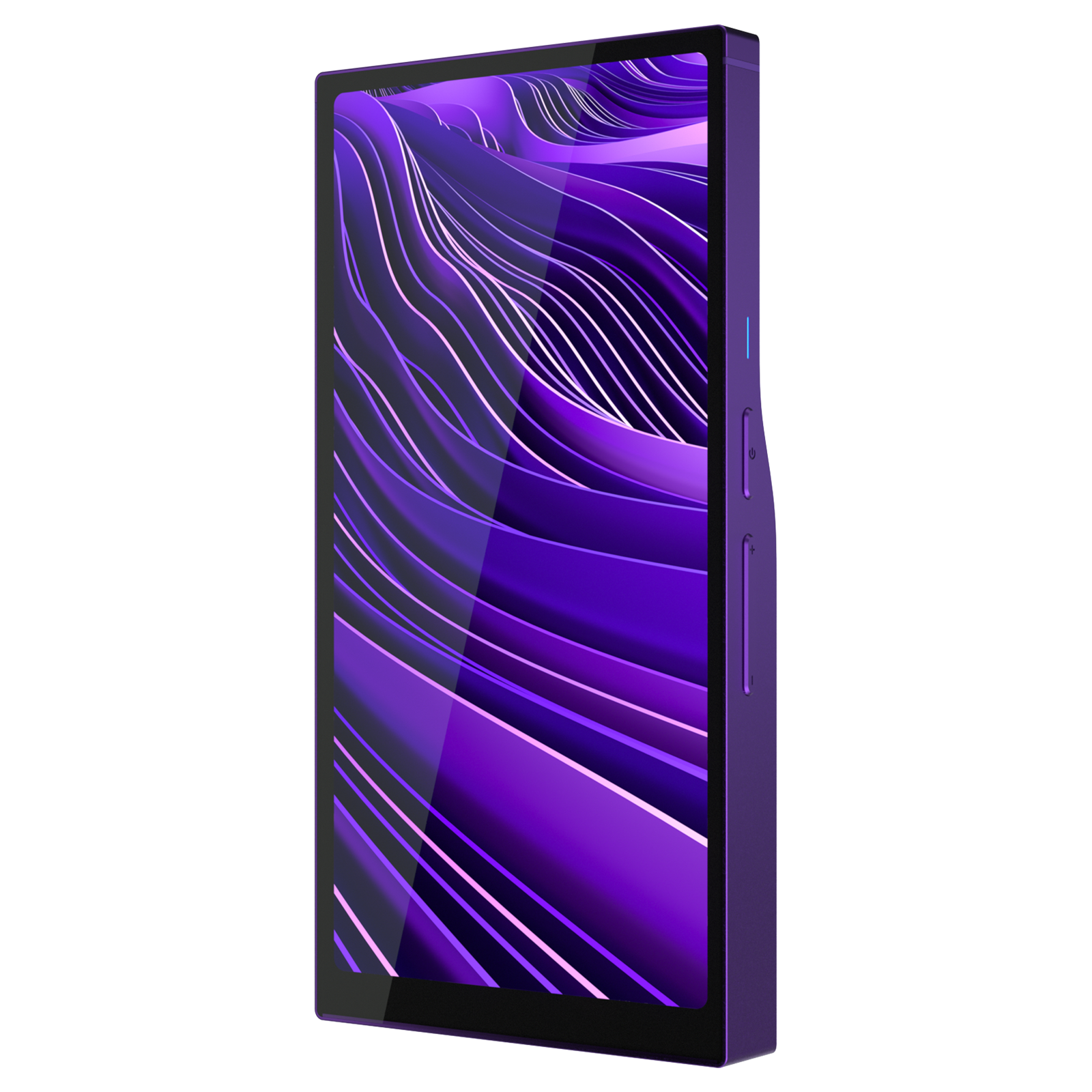 Purple / Standard