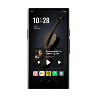 HiBy R8 II - Hi-End Android Digital Audio Player HiBy | Make Music More Musical Silver-Standard